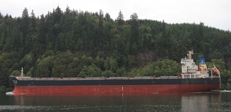 JIN ZHU HAI Bulk Carrier IMO 9494383 photo 9