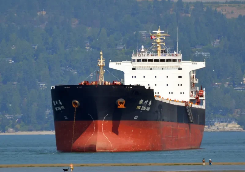 YIN ZHU HAI Bulk Carrier IMO 9494395