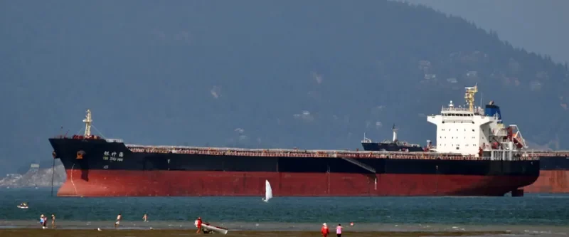 YIN ZHU HAI Bulk Carrier IMO 9494395 photo 3