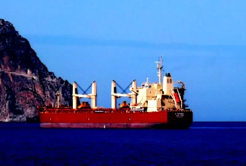 HAO FENG HAI Bulk Carrier IMO 9494474 photo 4