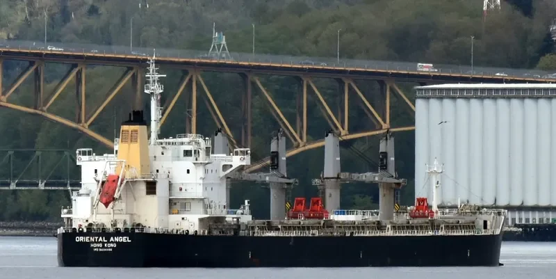 SEA KSANTI Bulk Carrier IMO 9494486 photo 4