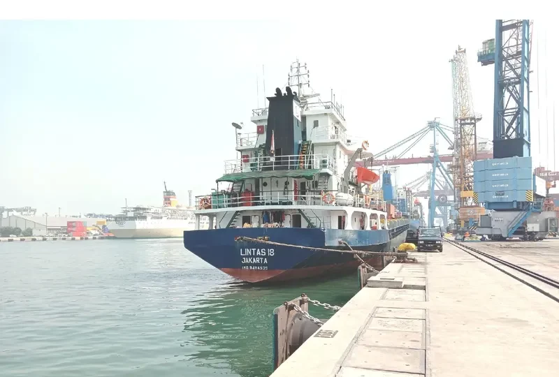 LINTAS 18 General Cargo IMO 9494539