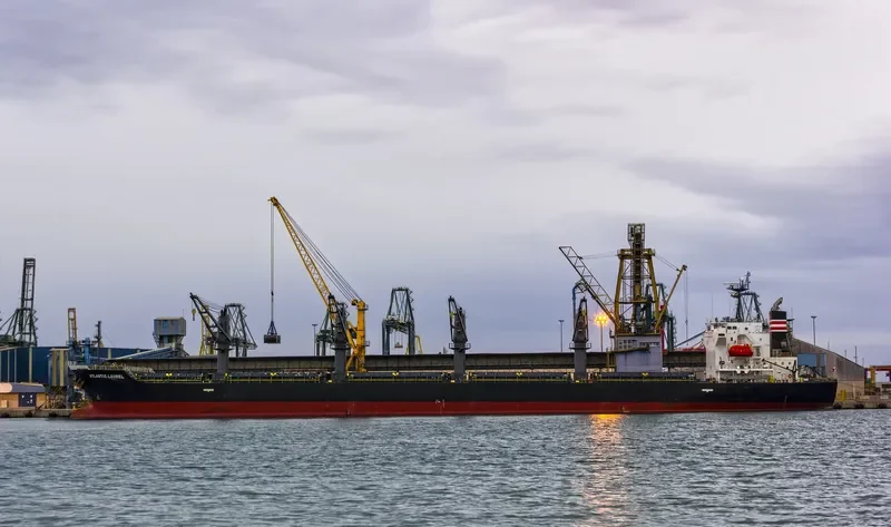 ATLANTIC LAUREL Bulk Carrier IMO 9494747 photo 9