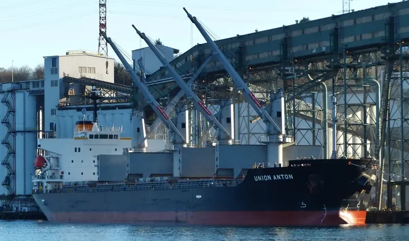 KALLISTI GS Bulk Carrier IMO 9494814 photo 8