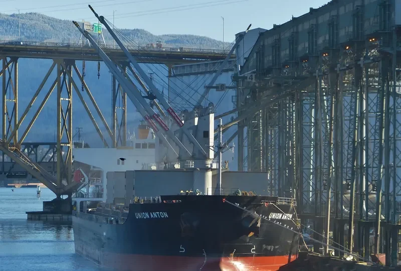 KALLISTI GS Bulk Carrier IMO 9494814 photo 9