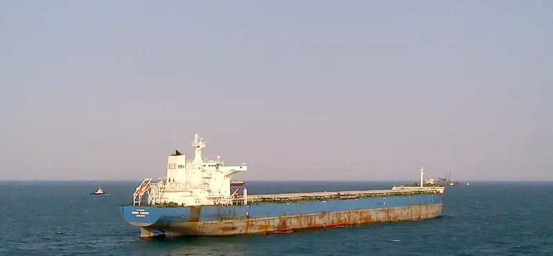CHINA ENERGY Bulk Carrier IMO 9495064 photo 4