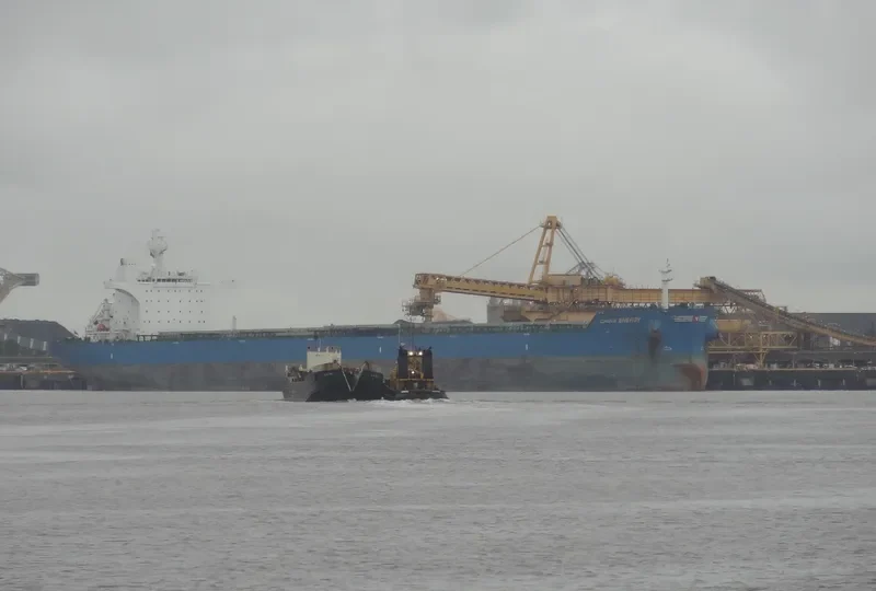 CHINA ENERGY Bulk Carrier IMO 9495064 photo 7