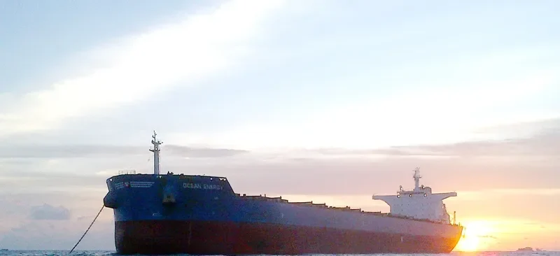OCEAN ENERGY Bulk Carrier IMO 9495076