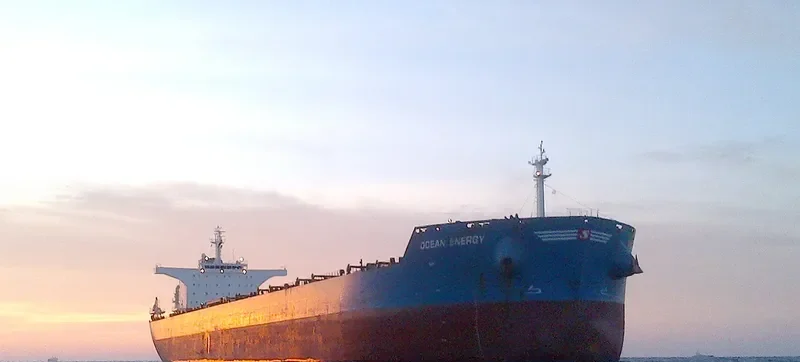 OCEAN ENERGY Bulk Carrier IMO 9495076 photo 2