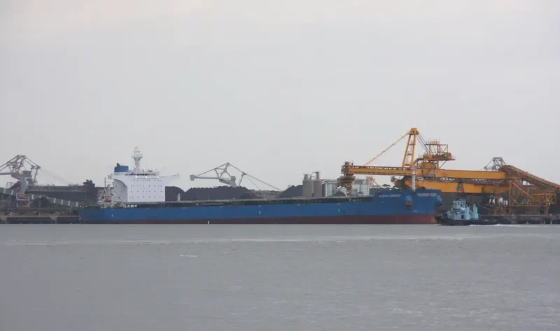 OCEAN ENERGY Bulk Carrier IMO 9495076 photo 3