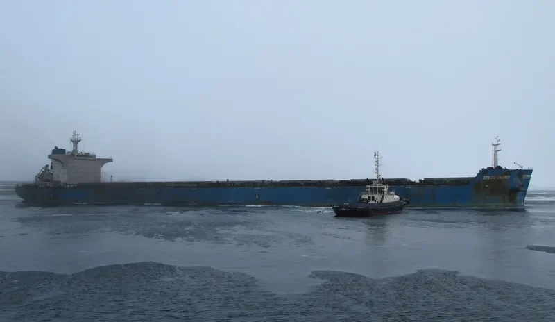 OCEAN ENERGY Bulk Carrier IMO 9495076 photo 7