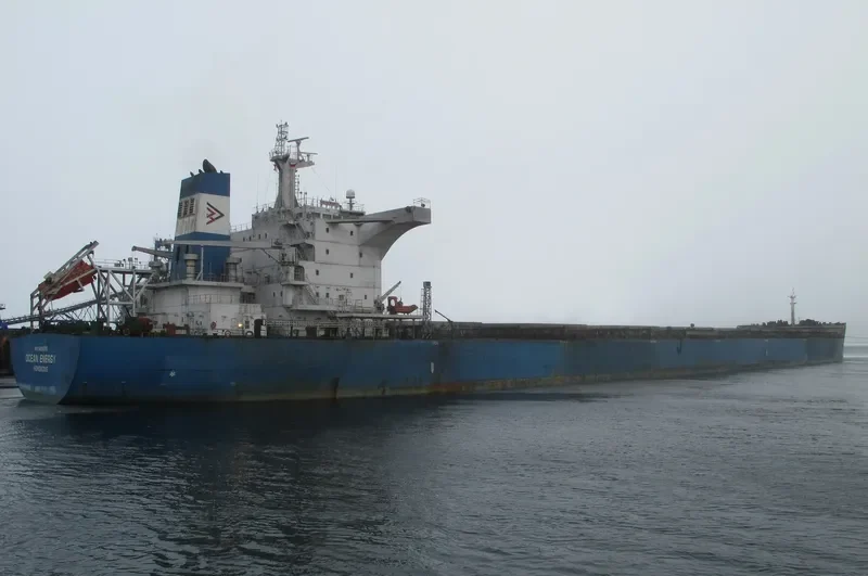OCEAN ENERGY Bulk Carrier IMO 9495076 photo 8