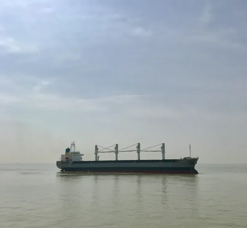 LA BAMBA Bulk Carrier IMO 9495363