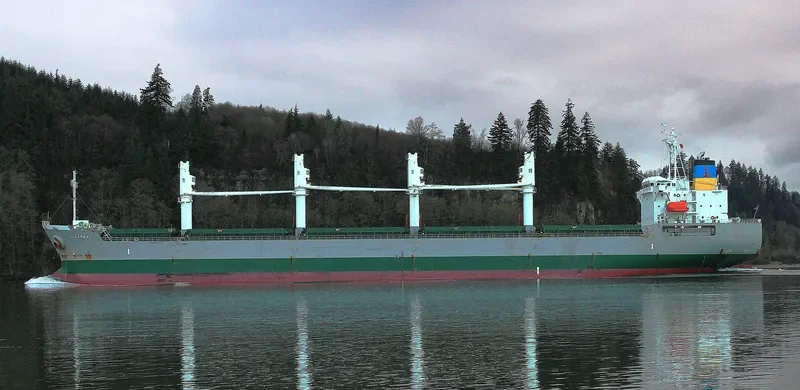 LA BAMBA Bulk Carrier IMO 9495363 photo 4