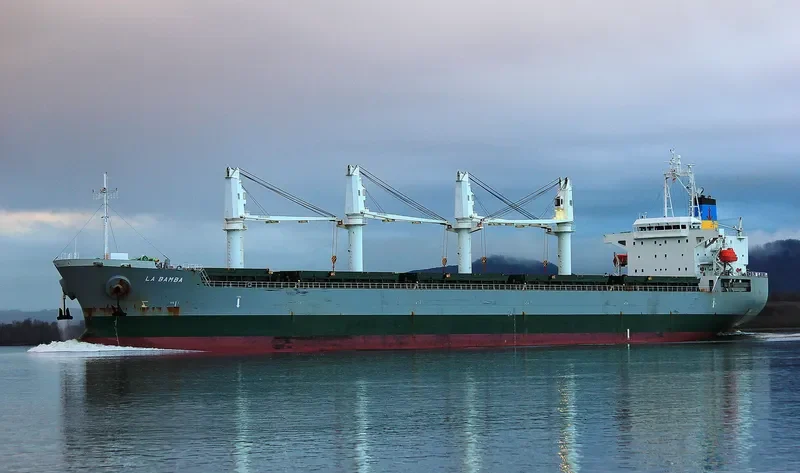 LA BAMBA Bulk Carrier IMO 9495363 photo 5