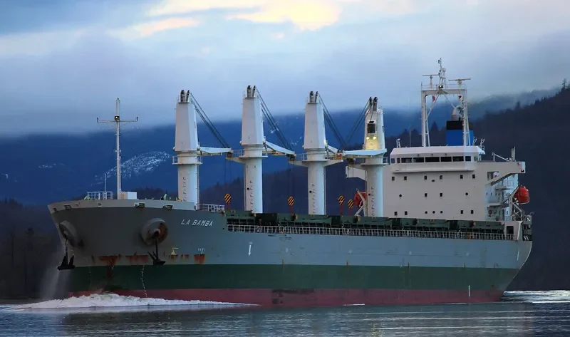 LA BAMBA Bulk Carrier IMO 9495363 photo 6