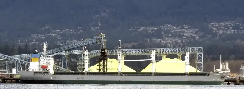 LA BAMBA Bulk Carrier IMO 9495363 photo 7