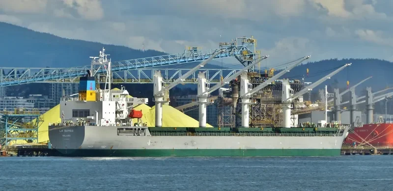 LA BAMBA Bulk Carrier IMO 9495363 photo 10
