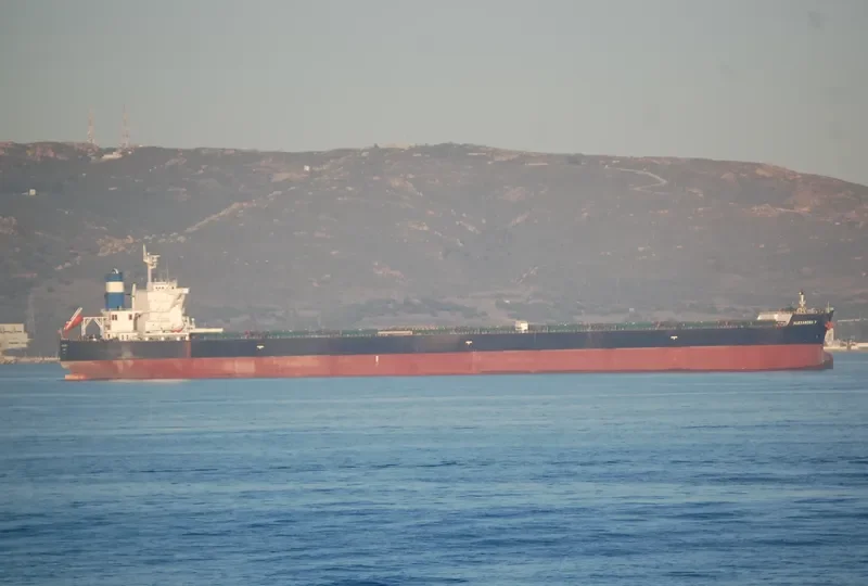 ALEXANDRA P Bulk Carrier IMO 9495387