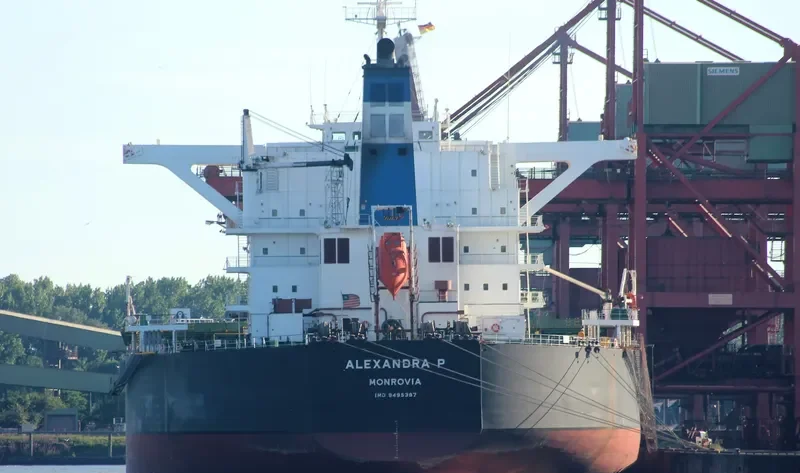 ALEXANDRA P Bulk Carrier IMO 9495387 photo 6