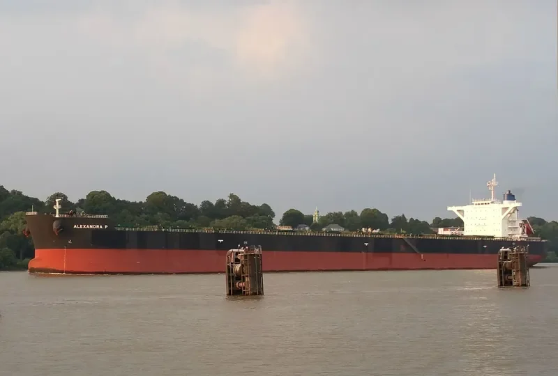 ALEXANDRA P Bulk Carrier IMO 9495387 photo 7