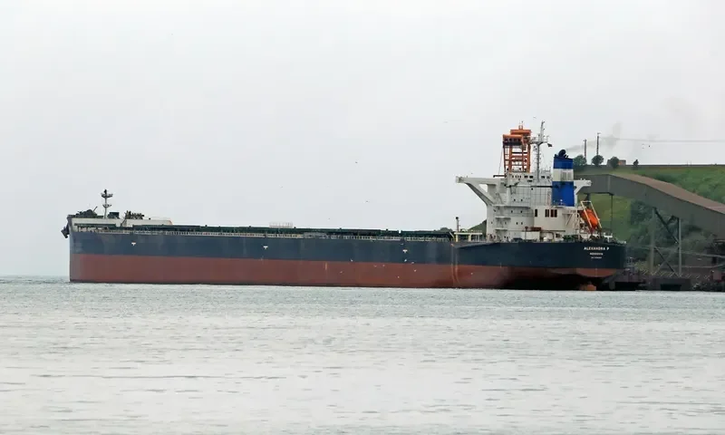 ALEXANDRA P Bulk Carrier IMO 9495387 photo 10