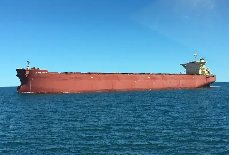 K.VICTORY Bulk Carrier IMO 9495404