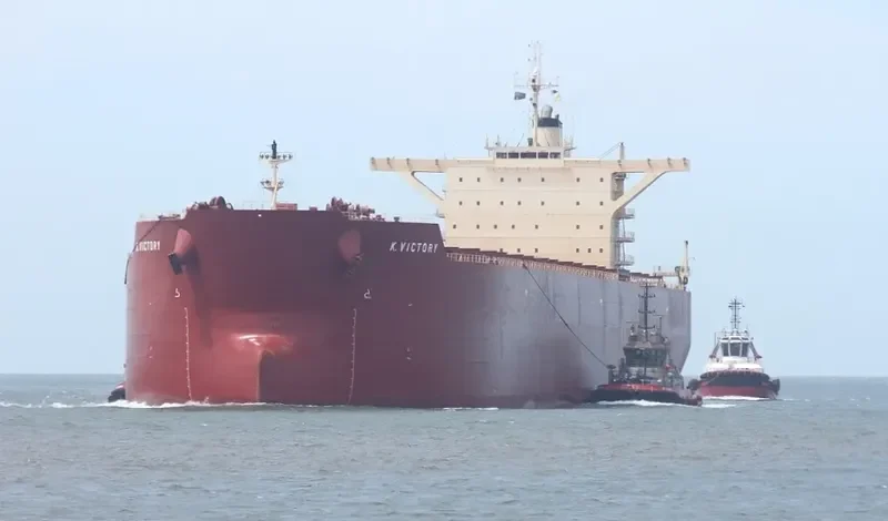 K.VICTORY Bulk Carrier IMO 9495404 photo 2