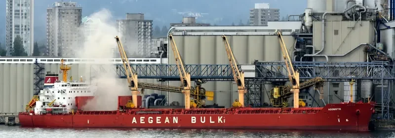 AGONISTIS Bulk Carrier IMO 9495715 photo 4