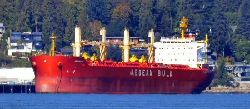 AGONISTIS Bulk Carrier IMO 9495715 photo 7