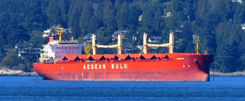 AGONISTIS Bulk Carrier IMO 9495715 photo 8