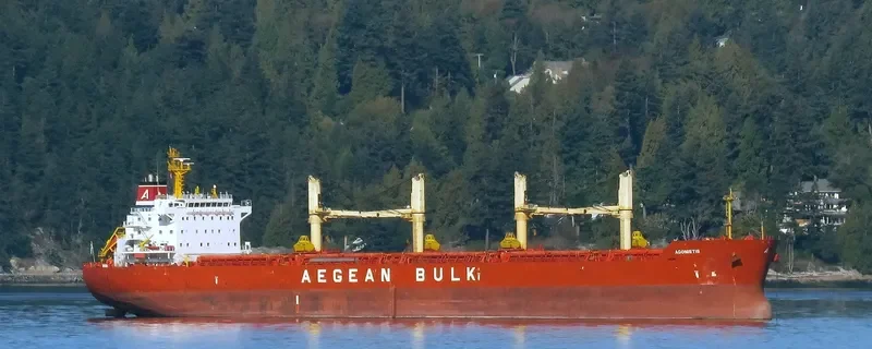 AGONISTIS Bulk Carrier IMO 9495715 photo 9