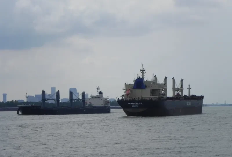 ORION Bulk Carrier IMO 9495935 photo 5
