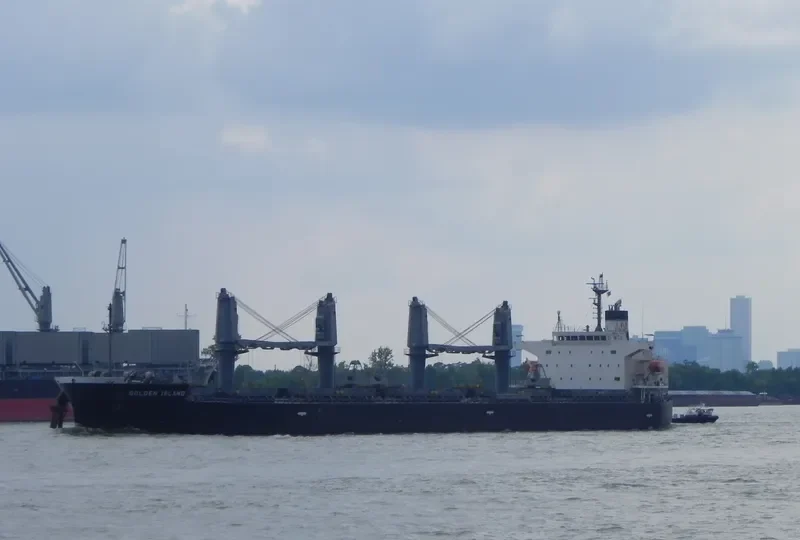 ORION Bulk Carrier IMO 9495935 photo 7