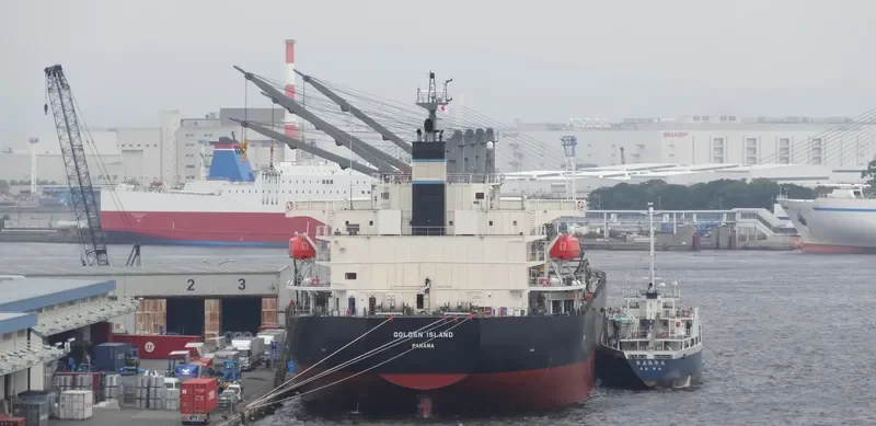 ORION Bulk Carrier IMO 9495935 photo 9