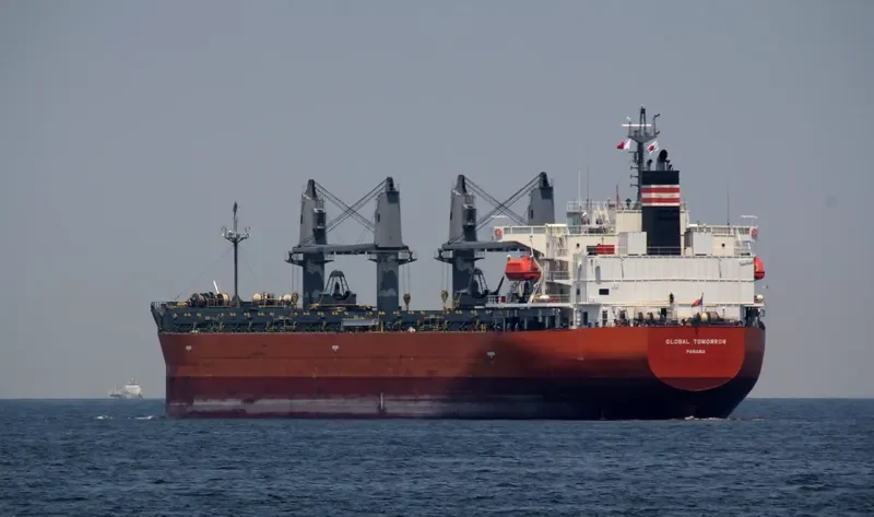 GLOBAL TOMORROW Bulk Carrier IMO 9495947 photo 2