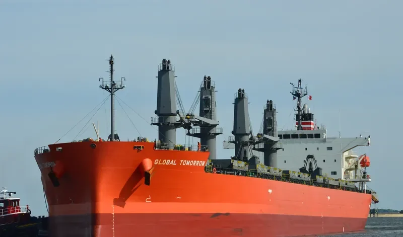 GLOBAL TOMORROW Bulk Carrier IMO 9495947 photo 3
