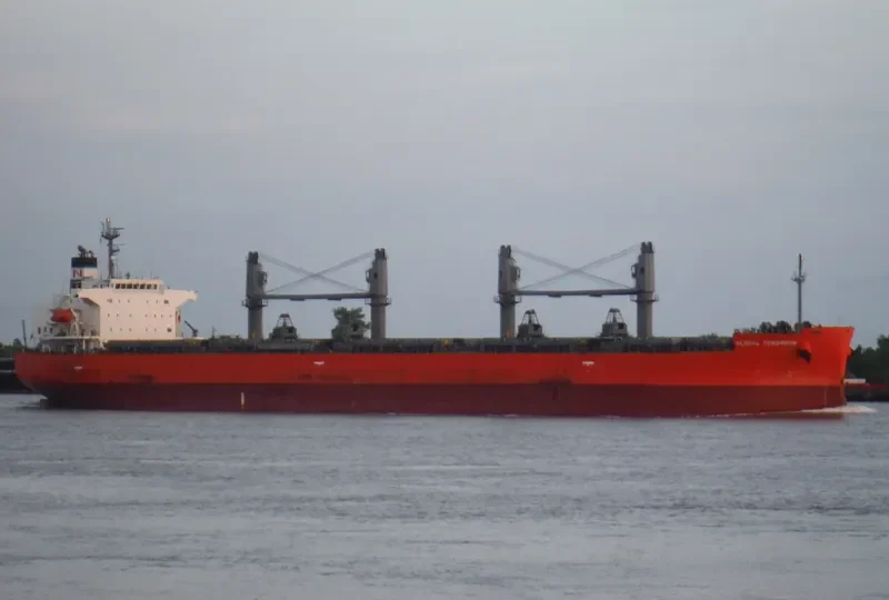 GLOBAL TOMORROW Bulk Carrier IMO 9495947 photo 5