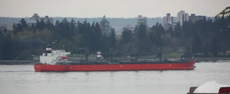 GLOBAL TOMORROW Bulk Carrier IMO 9495947 photo 6