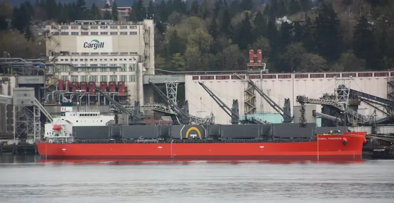 GLOBAL TOMORROW Bulk Carrier IMO 9495947 photo 7