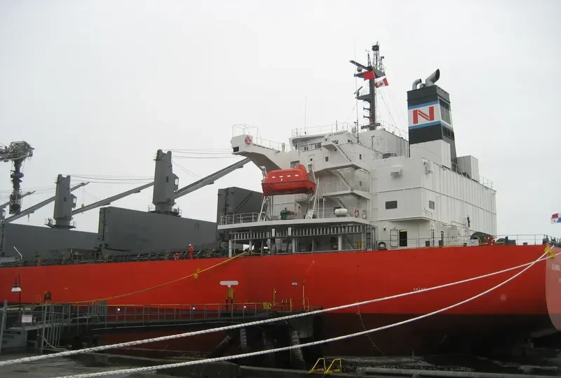 GLOBAL TOMORROW Bulk Carrier IMO 9495947 photo 8
