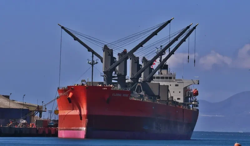 GLOBAL ROSE Bulk Carrier IMO 9495959 photo 2