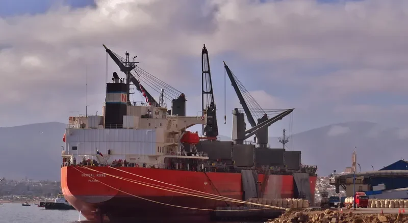 GLOBAL ROSE Bulk Carrier IMO 9495959 photo 3