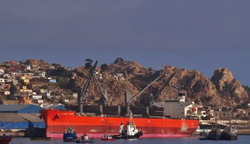 GLOBAL ROSE Bulk Carrier IMO 9495959 photo 4