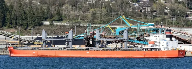 GLOBAL ROSE Bulk Carrier IMO 9495959 photo 5