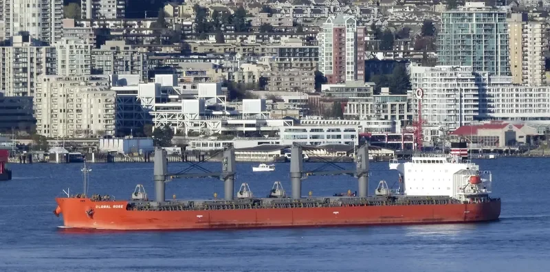 GLOBAL ROSE Bulk Carrier IMO 9495959 photo 6