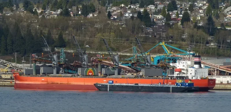 GLOBAL ROSE Bulk Carrier IMO 9495959 photo 8