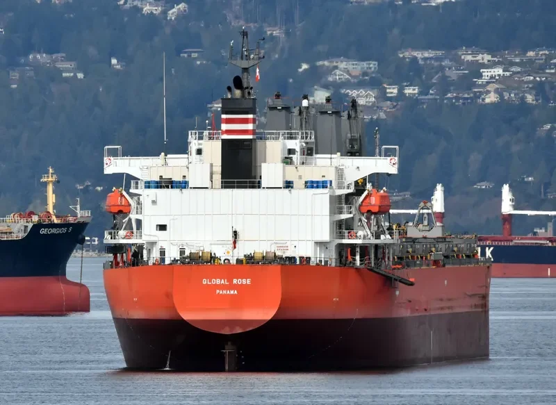 GLOBAL ROSE Bulk Carrier IMO 9495959 photo 10