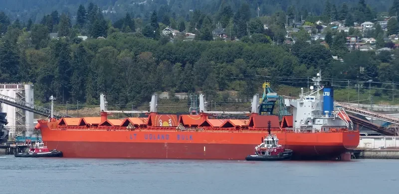 JAG RADHA Bulk Carrier IMO 9496135 photo 4