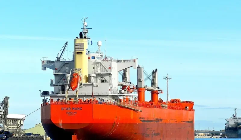 JAG RADHA Bulk Carrier IMO 9496135 photo 6